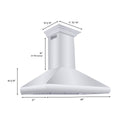 ZLINE 48" Professional Convertible Vent Wall Mount Range Hood in Stainless Steel with Crown Molding (587CRN-48)