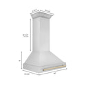 ZLINE Autograph Edition 36" Stainless Steel Range Hood with Stainless Steel Shell and Polished Gold Handle (8654STZ-36-G)