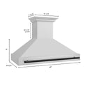 ZLINE 48 in. Autograph Edition Stainless Steel Range Hood with Stainless Steel Shell and Accented Handle (8654STZ-48)