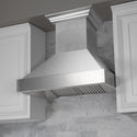ZLINE 36" Designer Series Ducted Wall Mount Range Hood in Fingerprint Resistant Stainless Steel (8656S-36)