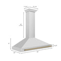 ZLINE 48 in. Autograph Edition Convertible Stainless Steel Range Hood with Stainless Steel Shell and Champagne Bronze Accents (KB4STZ-48-CB)