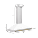ZLINE 48 in. Autograph Edition Convertible Stainless Steel Range Hood with White Matte Shell and Champagne Bronze Accents (KB4STZ-WM48-CB)