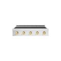 ZLINE Autograph Edition 36 in. Paramount Induction Rangetop with 5 Element Cooktop in Satin Stainless Steel and Polished Gold Accents (SINRTSZ-36-G)