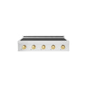 ZLINE Autograph Edition 36 in. Paramount Induction Rangetop with 5 Element Cooktop in Stainless Steel and Polished Gold Accents (SINRTZ-36-G)