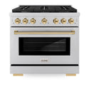 ZLINE Autograph Edition 36 in. 5.2 cu. ft. Paramount Dual Fuel Range with 6 Burner Gas Cooktop and Electric Convection Oven in Stainless Steel with Polished Gold Accents (SDRZ-36-G)