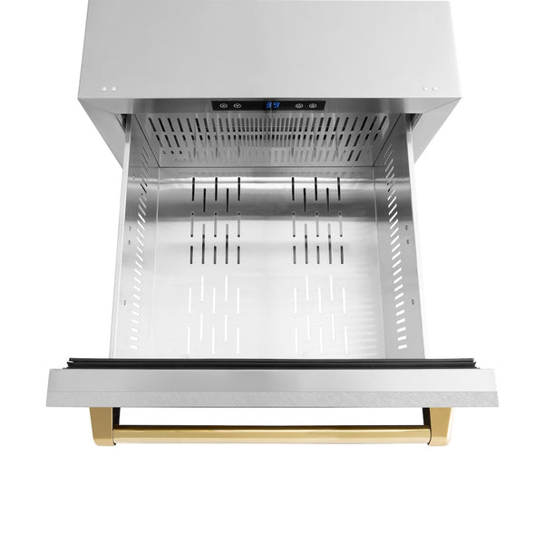 ZLINE Autograph Edition 24 in. Touchstone 168 Can Outdoor-Rated Dual Refrigerator Drawer with Satin Stainless Steel Doors and Polished Gold Handles (RDSOZ-SN-24-G)