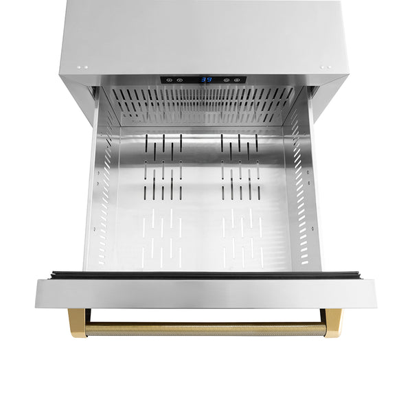 ZLINE Autograph Edition 24 in. Touchstone 168 Can Outdoor-Rated Dual Refrigerator Drawer with Stainless Steel Doors and Polished Gold Helix Handles (RDSOZ-ST-24-KG)