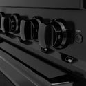 ZLINE 30 in. 4.2 cu. ft. Classic Dual Fuel Range with 4 Burner DuoPro™ Cooktop and Electric Convection Oven in Black Stainless Steel (PCDRB-30)