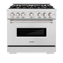 ZLINE 36 in. 5.2 cu. ft. Classic Gas Range with Convection Gas Oven in DuraSnow® Stainless Steel with 6 Brass Burners (CGRS-BR-36)