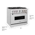 ZLINE 36 in. 5.2 cu. ft. Classic Gas Range with 6 Burner DuoPro™ Cooktop and Convection Gas Oven in Satin Stainless Steel (PCGRS-36)