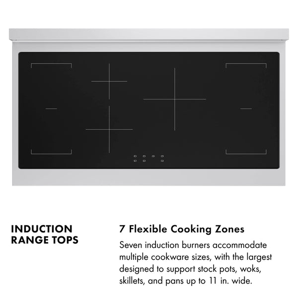 ZLINE Autograph Edition 48 in. Paramount Induction Rangetop with 7 Element Cooktop in Stainless Steel and Matte Black Accents (SINRTZ-48-MB)