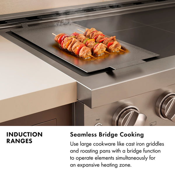 ZLINE 24 in. 3.2 cu. ft. Paramount Induction Range with 3 Element Cooktop and Electric Convection Oven in Satin Stainless Steel (SINRS-24)