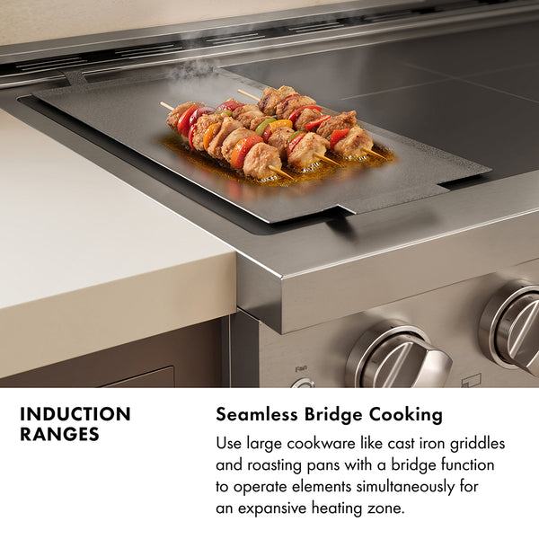 ZLINE 24 in. 3.2 cu. ft. Paramount Induction Range with 3 Element Cooktop and Electric Convection Oven in Stainless Steel with Black Matte Door (SINR-BLM-24)