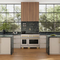 ZLINE 46 in. DuraMount™ Wall Mount Range Hood Insert in Stainless Steel (683-46)