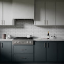 ZLINE 30 in. Paramount Gas Rangetop with 4 Burner DuoPro™ Cooktop in Stainless Steel