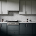 ZLINE 30 in. Paramount Gas Rangetop with 4 Burner DuoPro™ Cooktop in Stainless Steel
