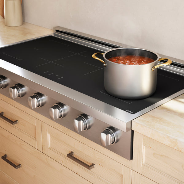 ZLINE 48 in. Paramount Induction Rangetop with 7 Element Cooktop in Stainless Steel (SINRT48)