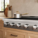 ZLINE 48 in. Paramount Induction Rangetop with 7 Element Cooktop in Stainless Steel (SINRT48)
