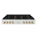 ZLINE 48 in. Autograph Edition Paramount Gas Rangetop with 8 Burners and Porcelain Cooktop in Satin Stainless Steel with Champagne Bronze Accents (SRTSZ-48-CB)