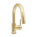 ZLINE Dante Kitchen Faucet in Polished Gold (DNT-KF-PG)