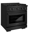 ZLINE 30 in. 4.2 cu. ft. Paramount Dual Fuel Range with Gas Cooktop and Electric Convection Oven in Black Stainless Steel with 4 Brass Burners (SDRB-BR-30)