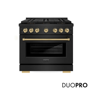 DuoPro Black Stainless