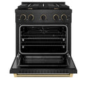 ZLINE Designer Collection 30 in. 4.2 cu. ft. Paramount Dual Fuel Range with 4 Burner Gas Cooktop and Electric Convection Oven in Black Satin Stainless Steel with Matte Black and Champagne Bronze Accents, Open Box-Great Condition