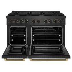 ZLINE Designer Collection 48 in. 6.7 cu. ft. Paramount Double Oven Dual Fuel Range with 8 Burner Gas Cooktop in Black Satin Stainless Steel with Matte Black and Champagne Bronze Accents (SDRBSZ-48-MBCB)