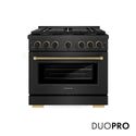 ZLINE Designer Collection 36 in. 5.2 cu. ft. Paramount Dual Fuel Range with 6 Burner DuoPro™ Cooktop and Electric Convection Oven in Black Satin Stainless Steel with Matte Black and Champagne Bronze Accents, Open Box-Good Condition