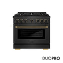 ZLINE Designer Collection 36 in. 5.2 cu. ft. Paramount Dual Fuel Range with 6 Burner DuoPro™ Cooktop and Electric Convection Oven in Black Satin Stainless Steel with Matte Black and Champagne Bronze Accents, Open Box-Great Condition