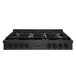 ZLINE 48 in. Paramount Gas Rangetop with 8 Burners and Porcelain Cooktop in Black Satin Stainless Steel (SRTBS-48)