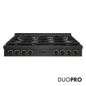 ZLINE Designer Collection 48 in. Paramount Gas Rangetop with 8 Burner DuoPro™ Cooktop in Black Satin Stainless Steel with Matte Black and Champagne Bronze Accents, Open Box-Great Condition
