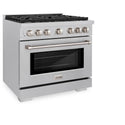 ZLINE 36 in. 5.2 cu. ft. Paramount Dual Fuel Range with Gas Cooktop and Electric Convection Oven in DuraSnow® Stainless Steel with 6 Brass Burners (SDRS-BR-36)