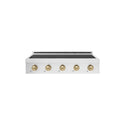 ZLINE Autograph Edition 36 in. Paramount Induction Rangetop with 5 Element Cooktop in Satin Stainless Steel and Champagne Bronze Accents (SINRTSZ-36-CB)