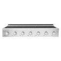 ZLINE 48 in. Paramount Induction Rangetop with 7 Element Cooktop in Satin Stainless Steel (SINRTS-48)