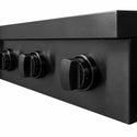 ZLINE 30 in. Paramount Induction Rangetop with 4 Element Cooktop in Black Stainless Steel (SINRTB-30)