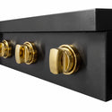ZLINE Autograph Edition 30 in. Paramount Induction Rangetop with 4 Element Cooktop in Black Stainless Steel and Polished Gold Accents (SINRTBZ-30-G)