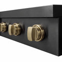 ZLINE Autograph Edition 36 in. Paramount Induction Rangetop with 5 Element Cooktop in Black Stainless Steel and Champagne Bronze Accents (SINRTBZ-36-CB)