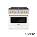 ZLINE Autograph Edition 36 in. 5.2 cu. ft. Paramount Dual Fuel Range with 6 Burner DuoPro™ Cooktop and Electric Convection Oven in Satin Stainless Steel with White Matte Door and Polished Gold Accents, Open Box-Great Condition