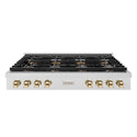 ZLINE Autograph Edition 48 in. Paramount Gas Rangetop with 8 Burner DuoPro™ Cooktop in Satin Stainless Steel and Polished Gold Accents (PSRTSZ-48-G)
