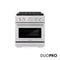 ZLINE 30 in. 4.2 cu. ft. Paramount Dual Fuel Range with 4 Burner DuoPro™ Cooktop and Electric Convection Oven in Stainless Steel (PSDR30)