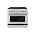 ZLINE Autograph Edition 36 in. 5.2 cu. ft. Paramount Dual Fuel Range with 6 Burner Gas Cooktop and Electric Convection Oven in Stainless Steel with Polished Gold Helix Handle and Knob Accents (SDRZ-36-KG)