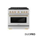 ZLINE Autograph Edition 36 in. 5.2 cu. ft. Paramount Dual Fuel Range with 6 Burner DuoPro™ Cooktop and Electric Convection Oven in Stainless Steel with Polished Gold Helix Handle and Accents (PSDRZ-36-KG)