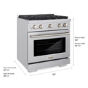 ZLINE 30 in. 4.2 cu. ft. Paramount Gas Range with 4 Burner Cooktop and Convection Gas Oven in Stainless Steel (SGR30)