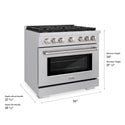 ZLINE 36 in. 5.2 cu. ft. Paramount Gas Range with 6 Burner Cooktop and Convection Gas Oven in Stainless Steel (SGR36)