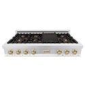 ZLINE Autograph Edition 48 in. Legacy Gas Rangetop with 7 Burners and Porcelain Cooktop in Stainless Steel with Polished Gold Accents (RTZ-48-G)