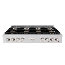 ZLINE 48 in. Paramount Gas Rangetop with 8 Burner DuoPro™ Cooktop in Stainless Steel (PSRT48)