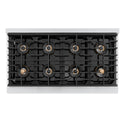 ZLINE 48 in. Paramount Gas Rangetop with 8 Burner DuoPro™ Cooktop in Stainless Steel