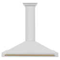 ZLINE 48 in. Autograph Edition Convertible Stainless Steel Range Hood with Stainless Steel Shell and Champagne Bronze Accents (KB4STZ-48-CB)