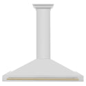 ZLINE 48 in. Autograph Edition Convertible Stainless Steel Range Hood with Stainless Steel Shell and Polished Gold Accents (KB4STZ-48-G)